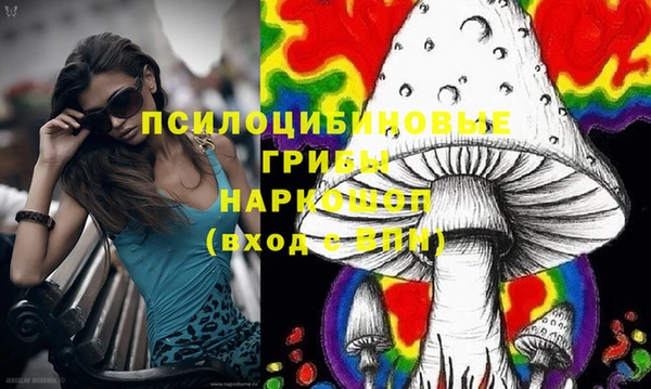 прущие крисы Вязьма