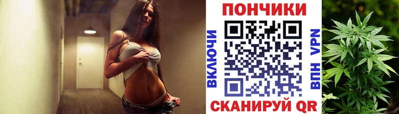ссылка на мегу ТОР  Камышлов  Бошки марихуана сатива 